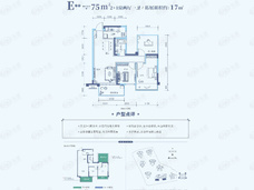 国悦·九曲湾E户型户型图