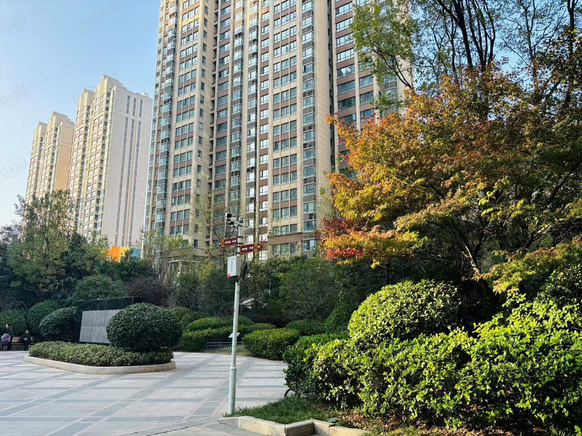 社区实景